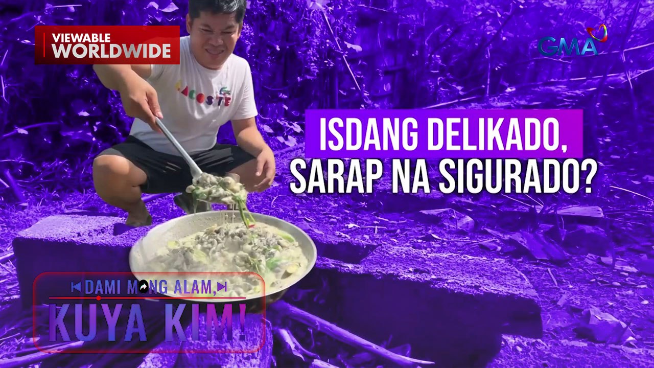 Mga isdang kinatatakutan pero puwedeng kainin, masarap nga ba?! | Dami Mong Alam, Kuya Kim!