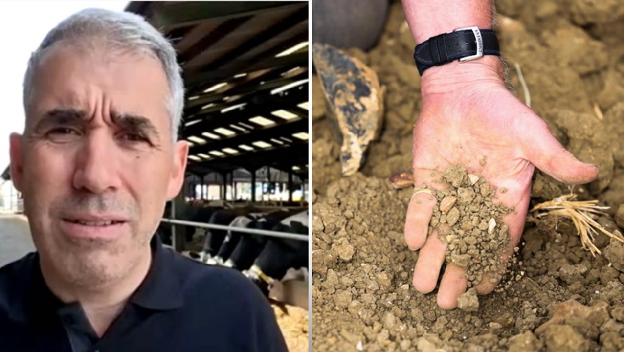 UK farming not prepared for threat of new diseases amid changing weather