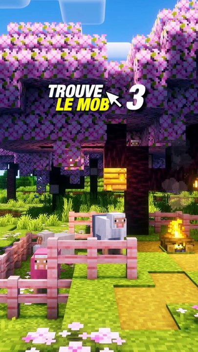 Tu as trouvé combien de mobs ? 🤔