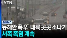 동해안 폭우·내륙 곳곳 소나기...서쪽 폭염 계속 / YTN