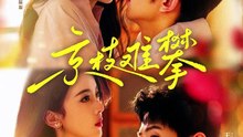 238-1精彩都市短剧  《京枝难攀》  上