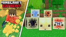 Instalé la actualización Sulfur en Minecraft Hardcore... ¡No vas a creer lo que pasó!