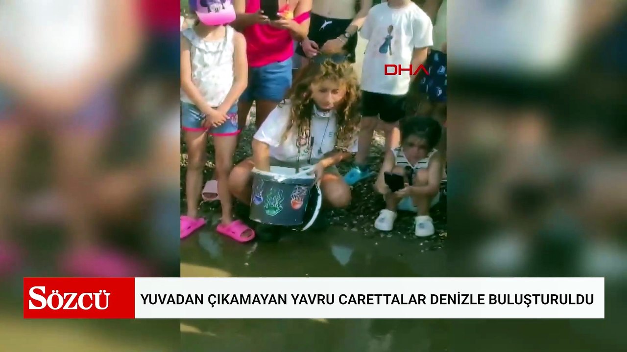 Yuvadan çıkamayan yavru carettalar denizle buluşturuldu