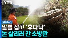 말벌집 제거하랴 논 살리랴...몸이 열개라도 모자란 소방관의 여름 [자막뉴스] / YTN