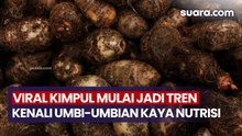 Viral Kimpul Mulai Jadi Tren, Kenali Berbagai Umbi-umbian Lokal yang Kaya Nutrisi