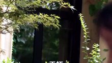 玄医入世：风起光州