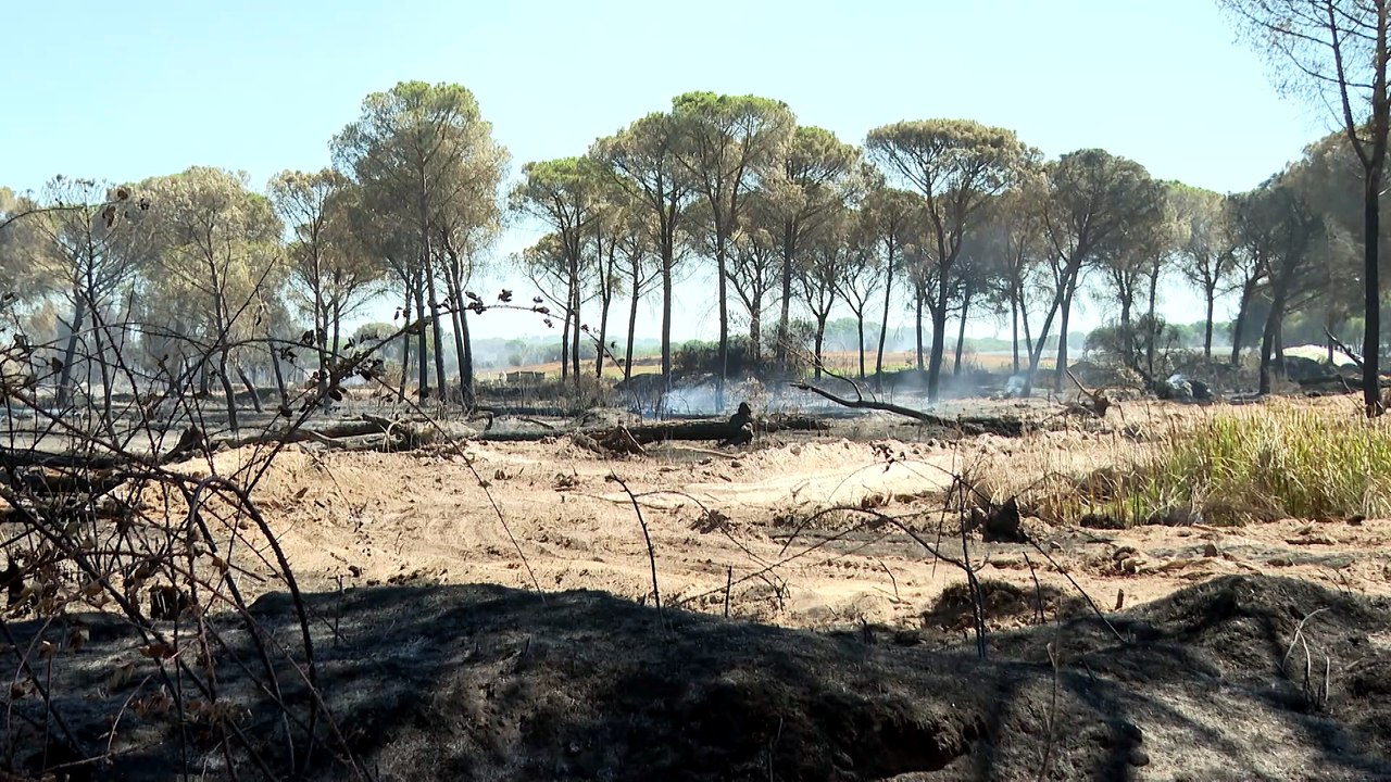 Continúan los trabajos de los equipos de emergencias en los incendios de Huelva y Castellón