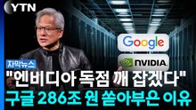 구글이 286조 원 푼다...엔비디아와 'AI칩 전쟁' [자막뉴스]  / YTN
