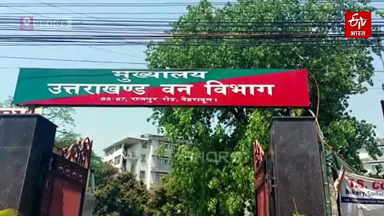 ₹300 करोड़ का राजस्व देने वाले वन विकास निगम में कामचलाऊ व्यवस्था, अहम पदों के लिए नहीं मिल रहे अफसर