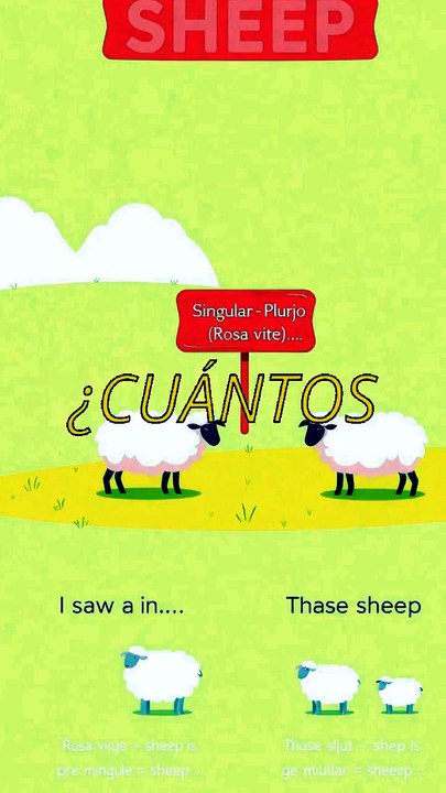 10000 palabras en inglés - ¿Cuántas sheep ves? 🐑