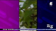 Sale a la luz video donde habla "El Diablo" sobre crímenes en Yoro