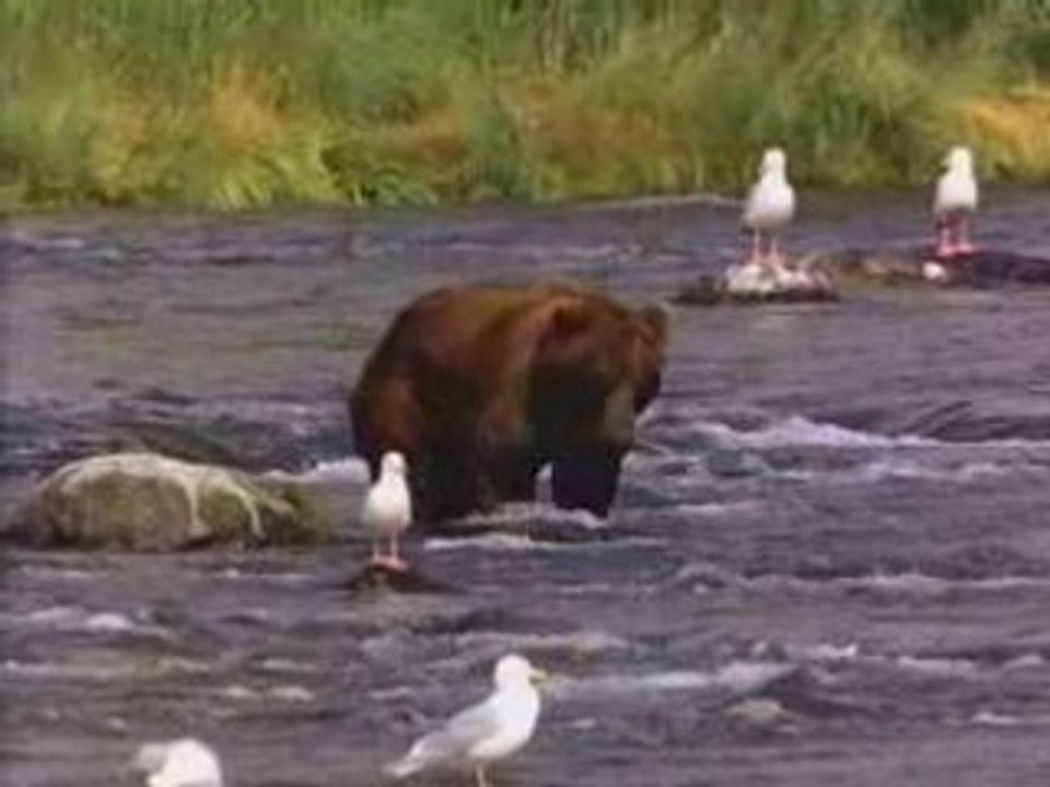 san andreas cascades