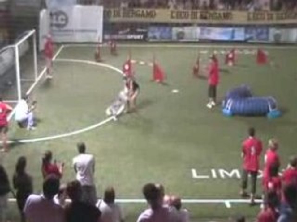 Démonstration agility Artéïs Monza Italie