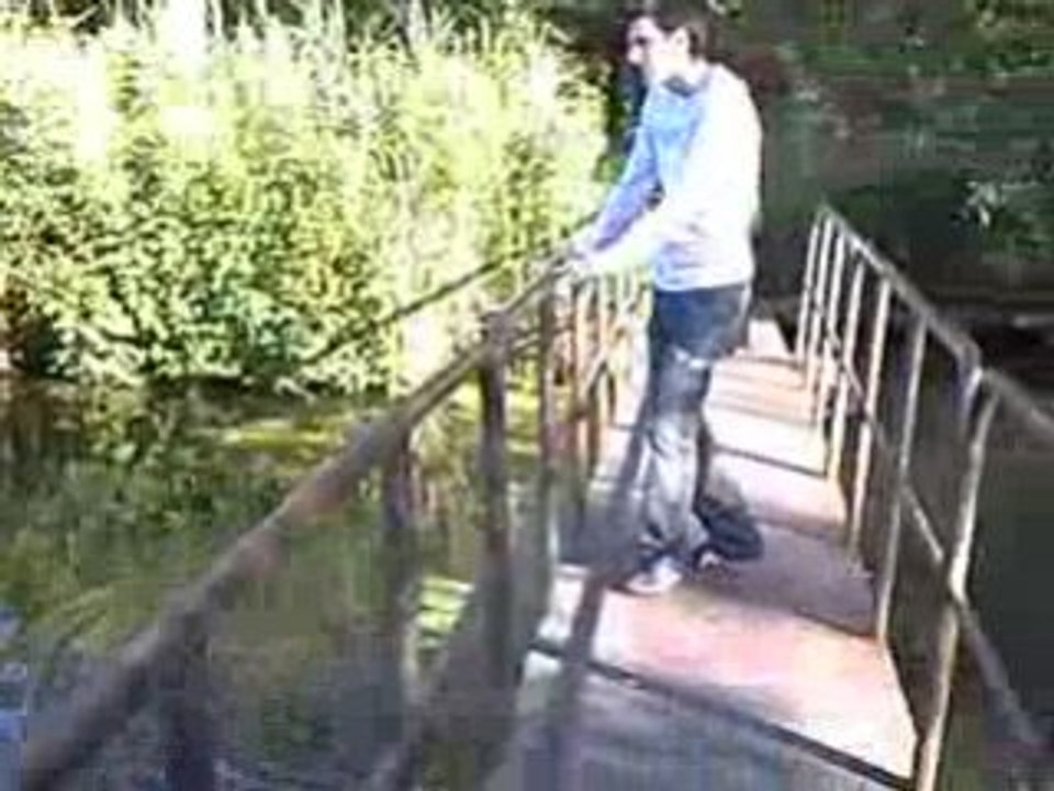 Au Parc D'Isle