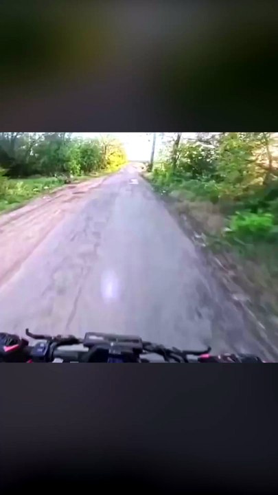 Rabbit jump kicks a man off his scooter 🐇🛴