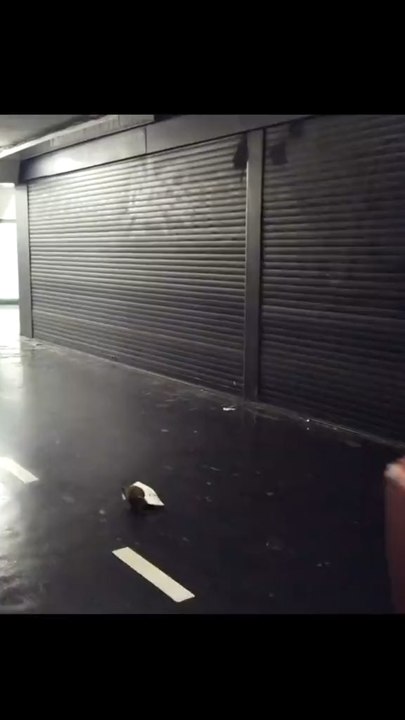 Prank rat in Paris 🐀