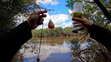 pescando y cocinando boga a la estaca, mojarreando en rio correntoso, palometas, pesca de barrio