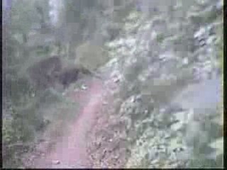 Mégavalanche qualif Bucheron 25 4/4