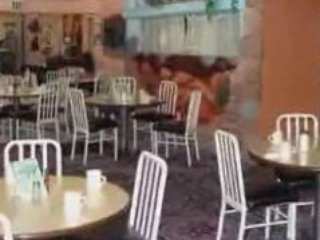 Best Western East Zion Thunderbird Lodge Video Tour