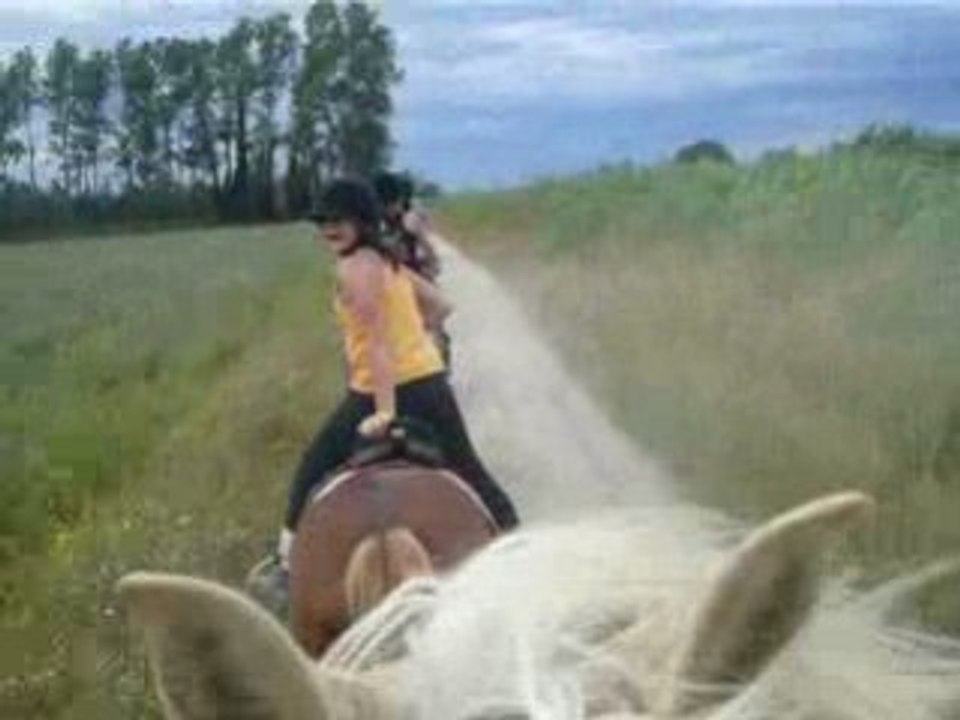 Camargue 2oo8