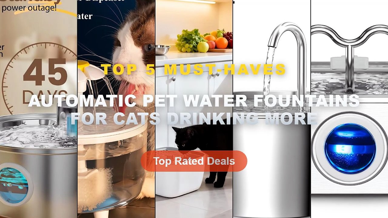 Cheap & Best Automatic Pet Water Fountains For...