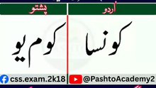 Learn Pashto in Urdu | Lesson # 55