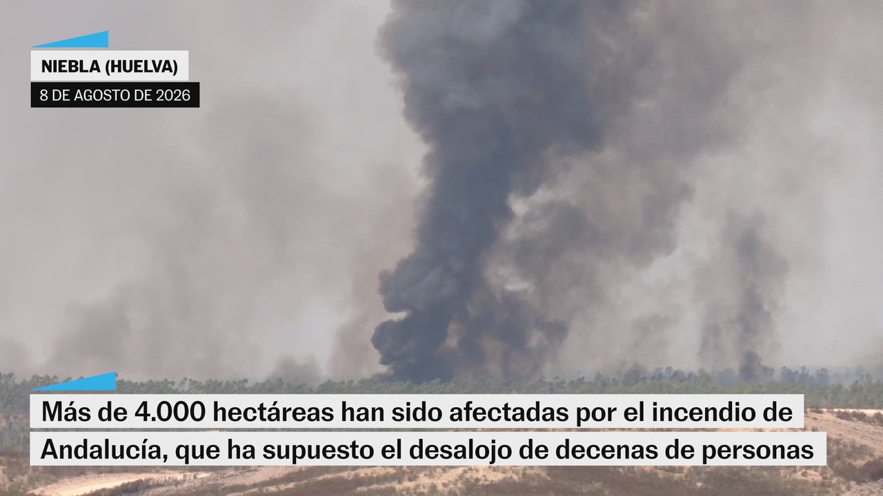 Las imágenes de los incendios de Andalucía y Castellón
