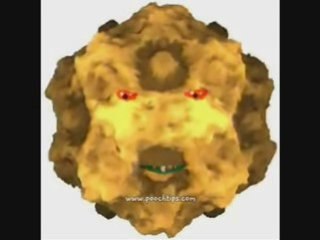 Gross Dog Parvo Symptoms Video