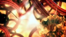 The Hidden Life of the Cell