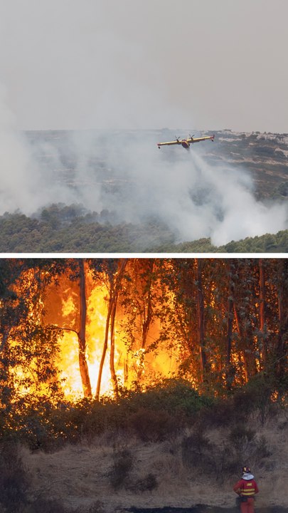 Las imágenes de los incendios de Niebla (Huelva) y Castellón