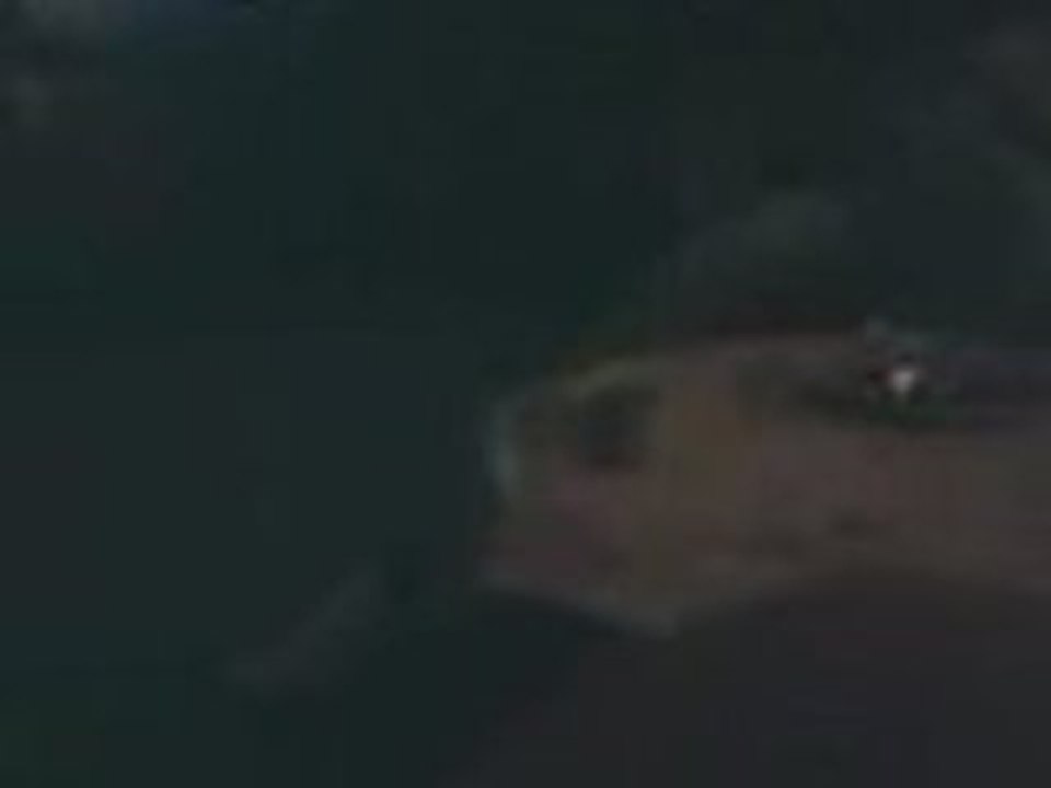 VID009