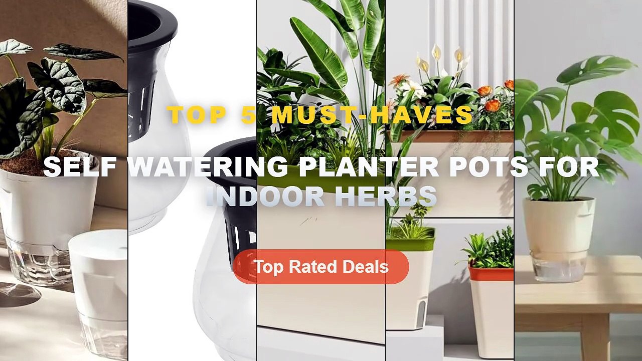 Don't Buy Self Watering Planter Pots For Indoor...