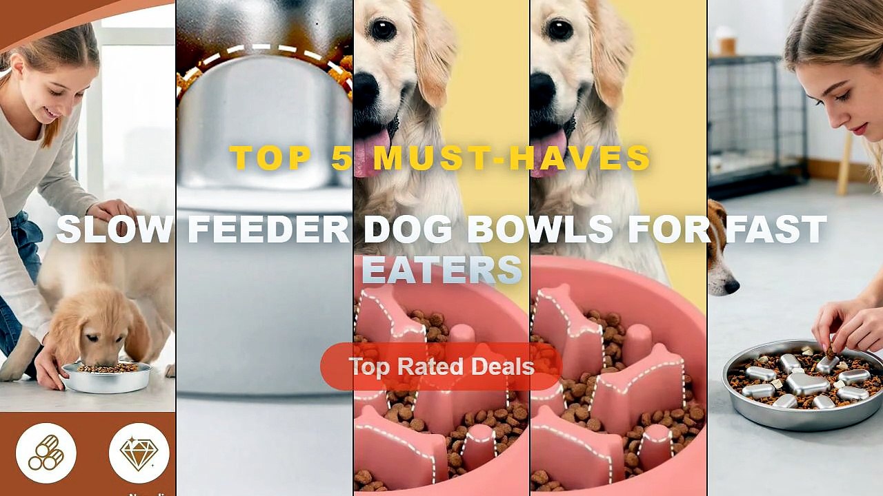 Best Slow Feeder Dog Bowls For Fast Eaters on AliExpress | Review - Slow Feeder Dog Bowl Anti Choking Maze Pet Dish Dog ...