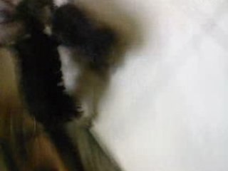 SV_A0033