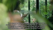 In Love Forever Episode 8 ｜ English Sub