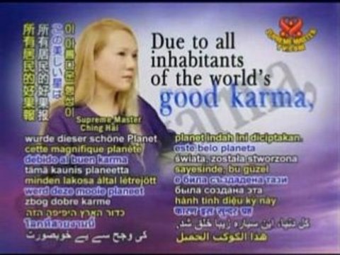 Wat Pho: Thailand's Temple of the Reclining Buddha