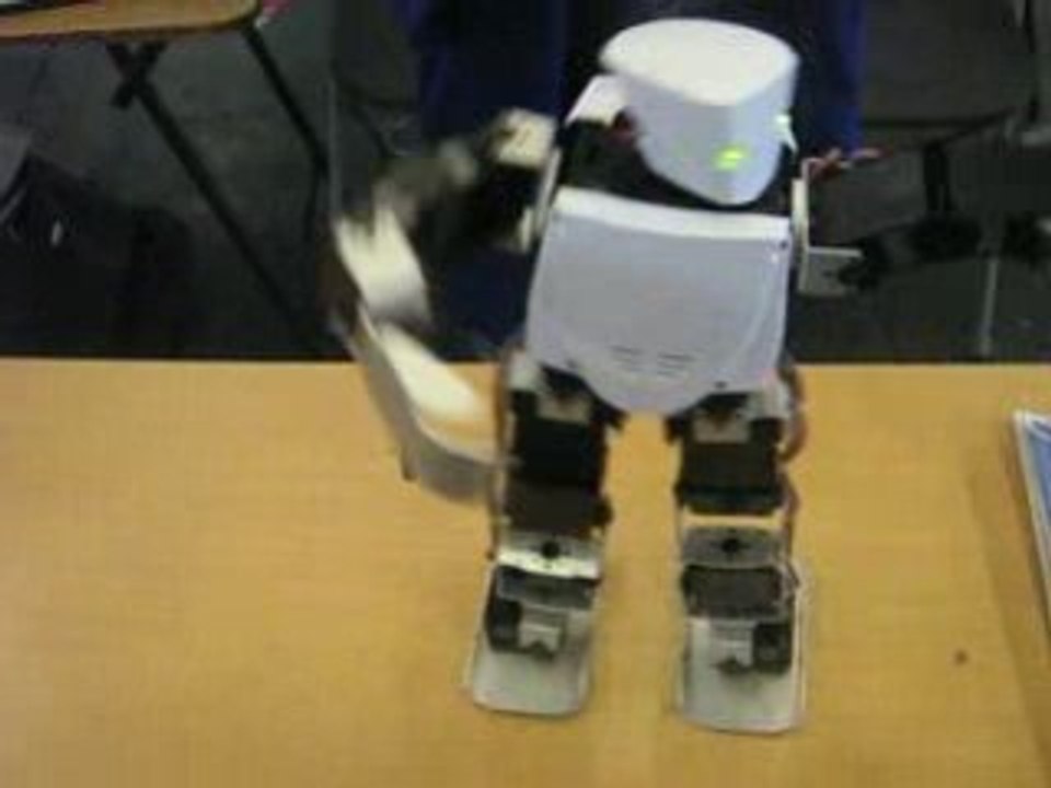 Robot danseur à la japan expo