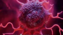A Anomalia Biológica do Lago: O Câncer Parasita que Desafia a Medicina