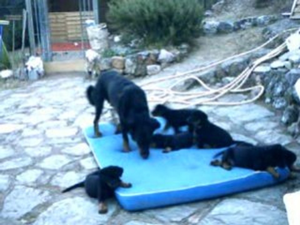 20080707 001