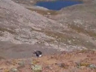 bizim Uşaklar kavrunda-1-kavrun.tr.gg