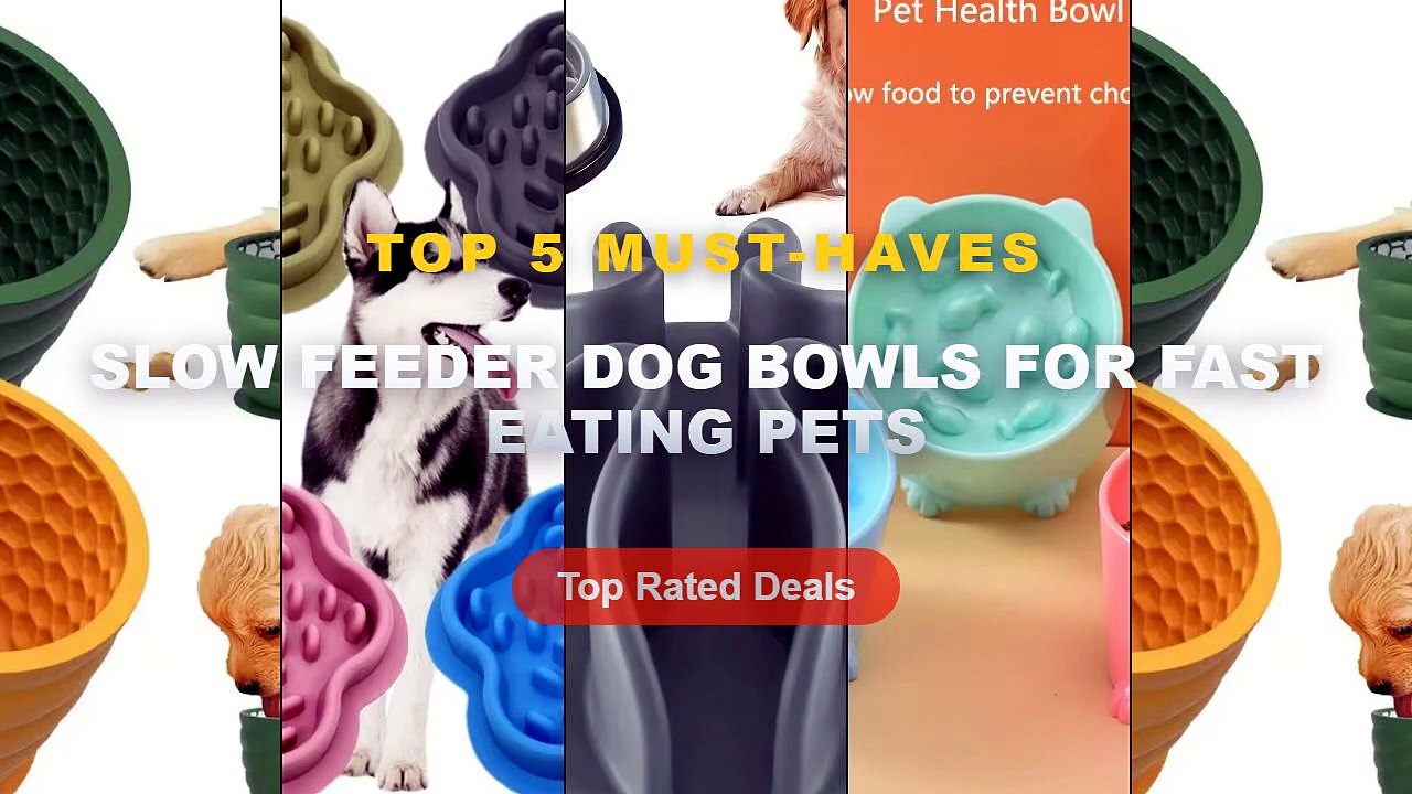 Amazing Slow Feeder Dog Bowls For Fast Eating Pets You Need To See - Silicone Slow Feeder Dog Bowl Cup Anti Slip Distrac...