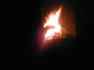 Soirée dans un  bois
