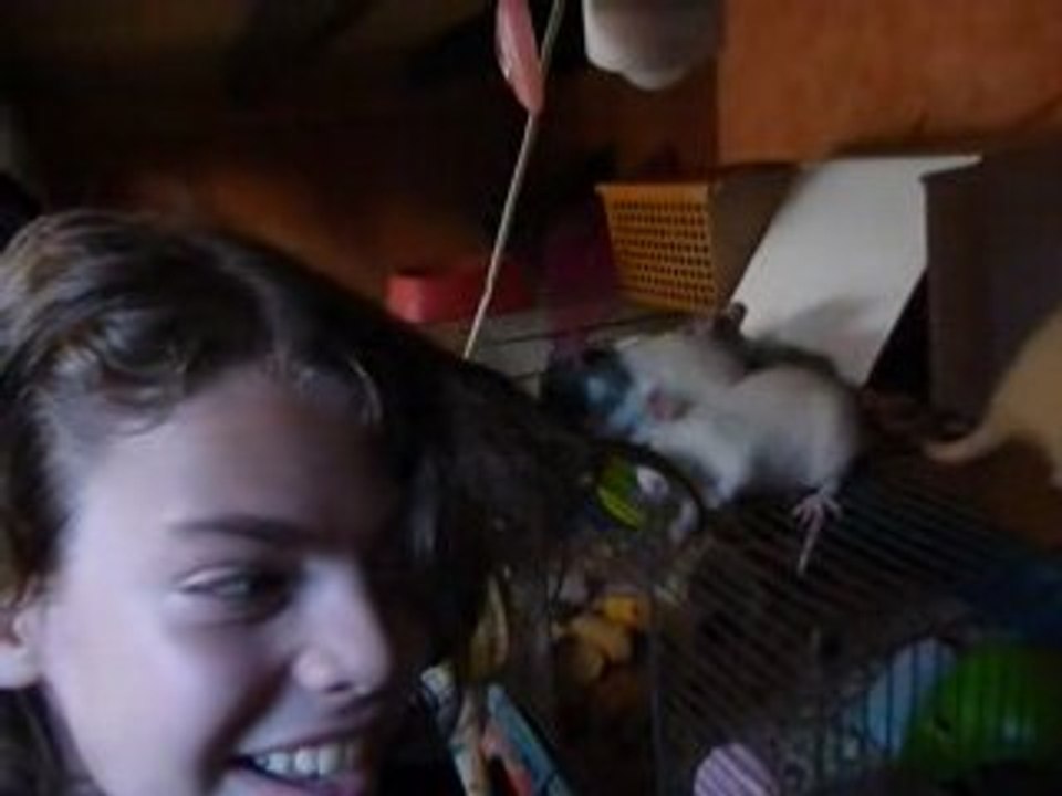 les coifeuse apprentie