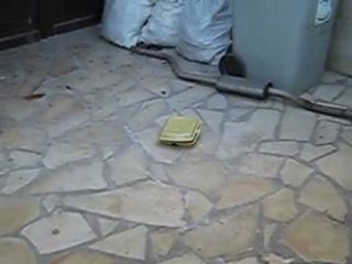 petard dans une boite