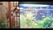 Giữa Cơn Bão Tuyết tập 19