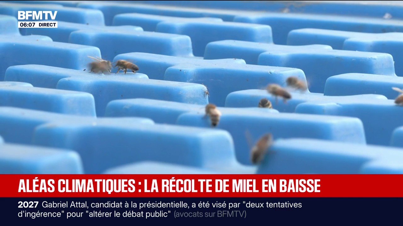 La canicule et la sécheresse pèsent lourdement...