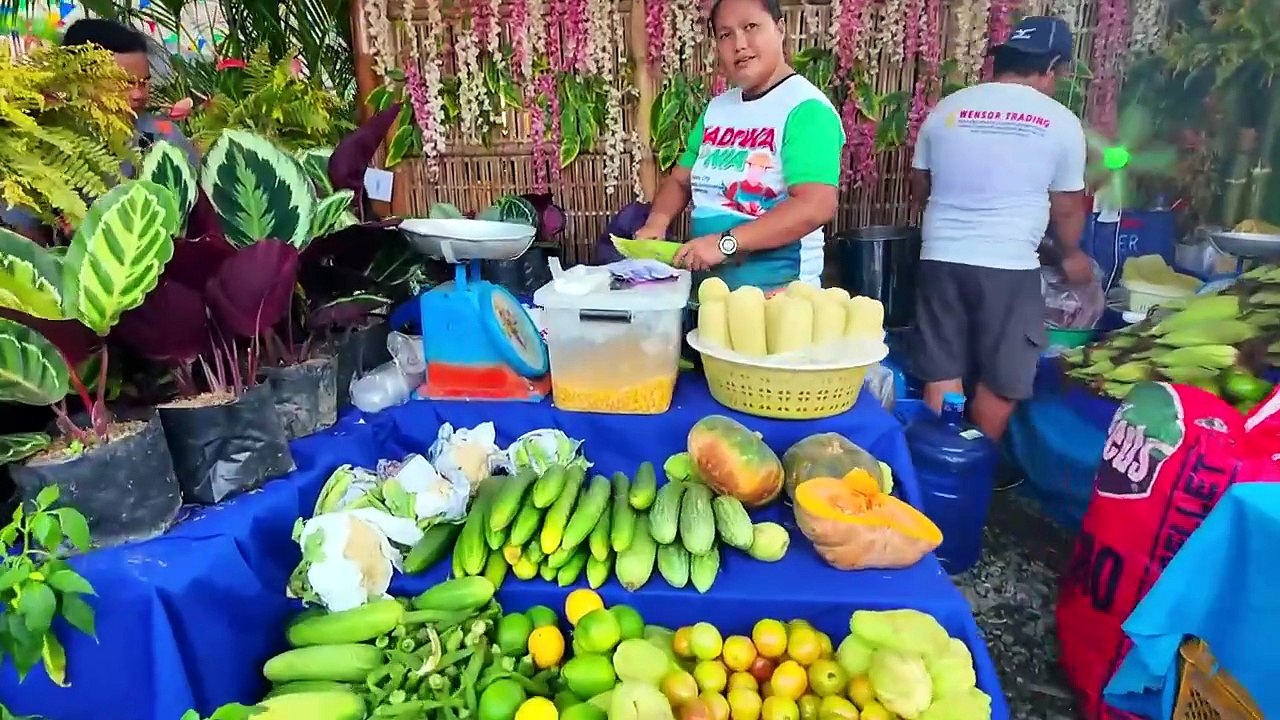 Trying Local Food at a Cebu, Philippines Festival 🇵🇭 Then This Happened… ¦ Tabo sa Kapitolyo