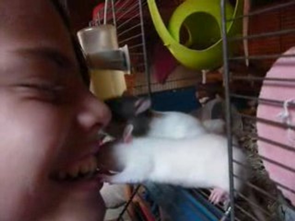 ratoune qui lechouille