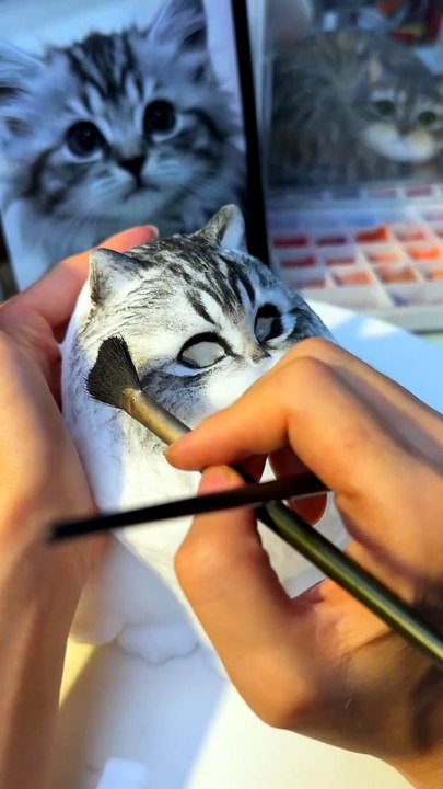 Cats Lovers Amazing  #fry #cat #cats