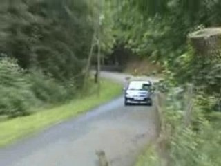 Course de cote de St-Geniez D'olt 2008 2